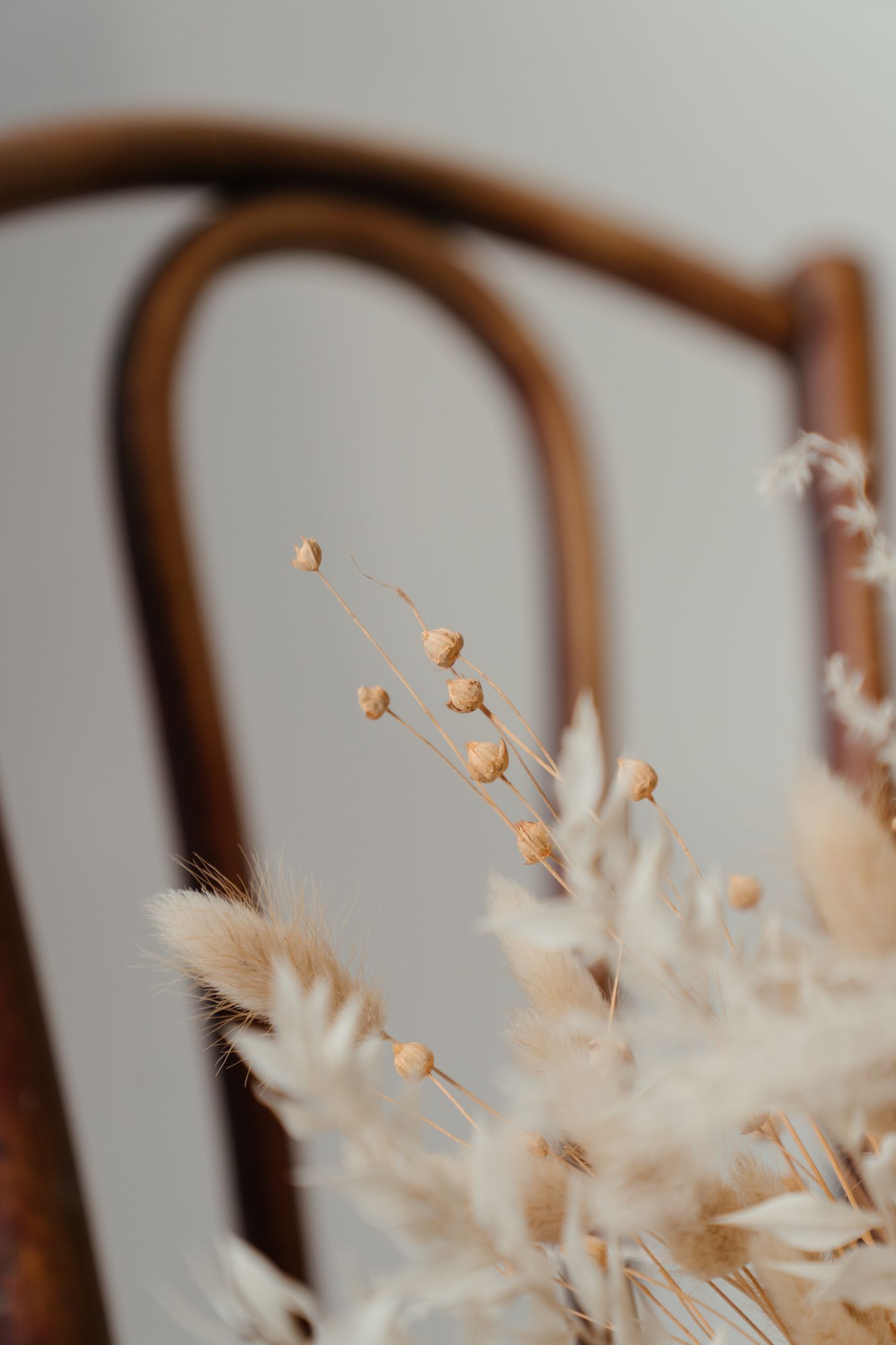 EG Passes atelier shelves